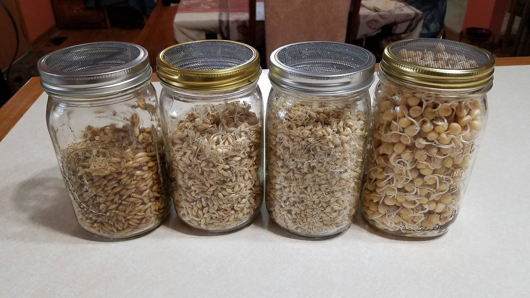 GRuB Garden Raised Bounty